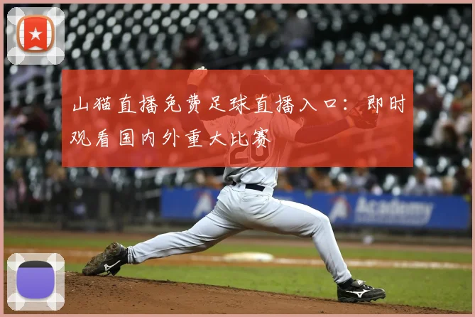 山猫直播免费足球直播入口：即时观看国内外重大比赛