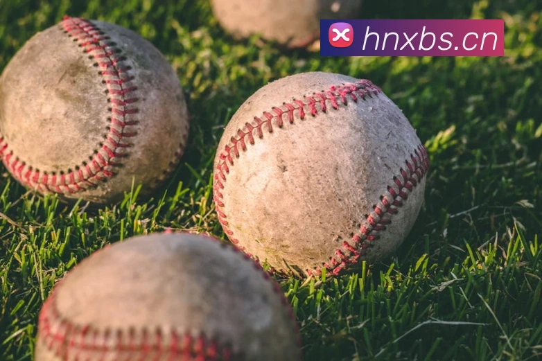 emc易倍官网平台生态图